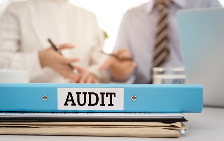 Employee Self Audit