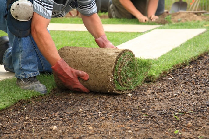Insurance for Landscaping Company