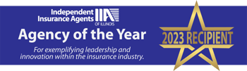 IIA-AgencyoftheYear