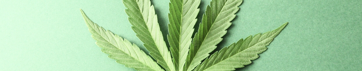 Illinois Cannabis Law