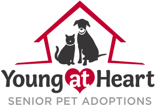 Young at heart-1